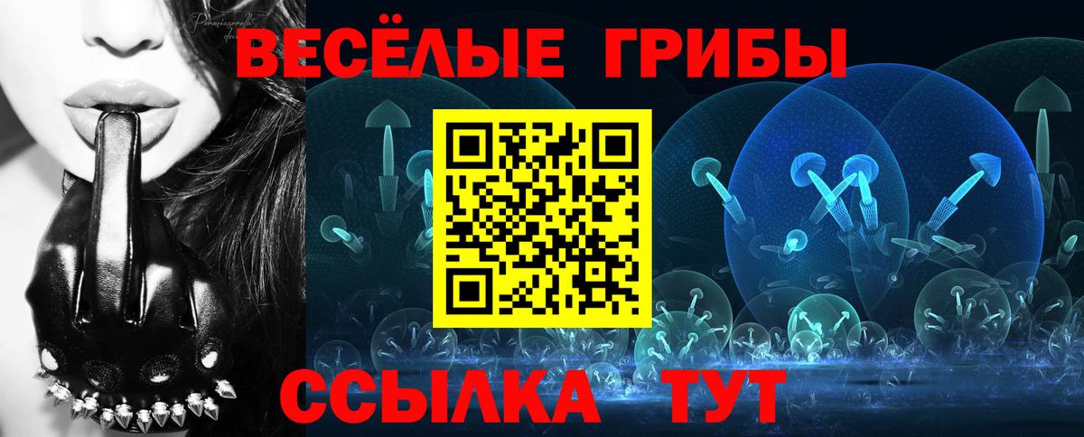 Тавда  Галлюциногенные грибы GOLDEN TEACHER  Вход с VPN 