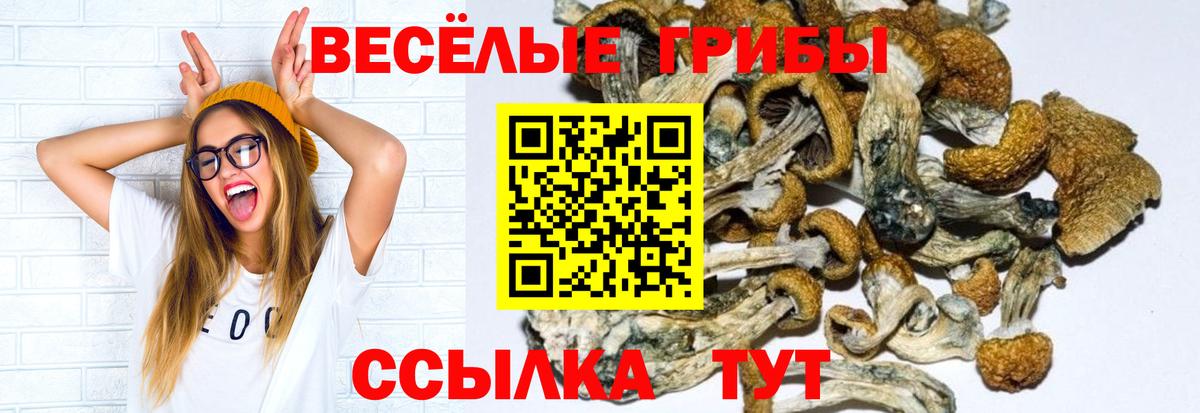 ТГК  Тавда  A-PVP СОЛЬ кристаллы  Меф МЯУ МЯУ  Вход с VPN  Гашиш  Марихуана  МЕФ кристаллы  COCAIN 